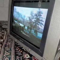 تلوزیون