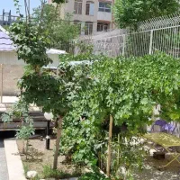 مشارکت در ساخت