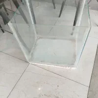آکواریوم و بوق بنزی