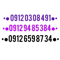 09120308491