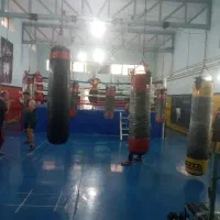 آموزش بوکس