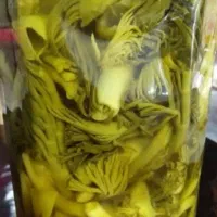 ترسی بیلهر