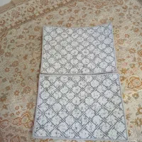 ۲ عدد پادری