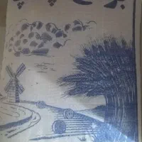برنج چمپا و عنبر بو