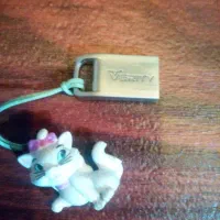 فلش 64 وریتی