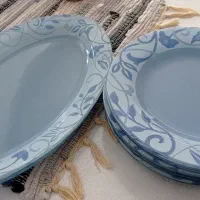 دوازده عدد بشقاب پلوخوری به همراه دوعدیس
