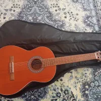 گیتار پارسی M6