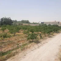 زمین-فروشی