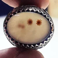 انگشتر شجر قاصدکی