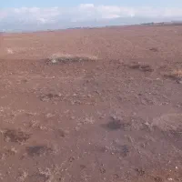 زمین فروشی متراژ ۲۲۰۰متر دوهزار دویست متر