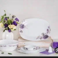 ظروف پذیرایی