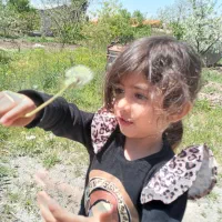 خدمات کشاورزی ملکان