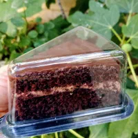 کیک  شکلاتی  کافه ای