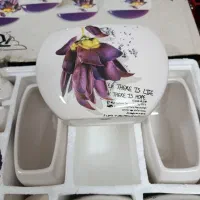 سرویس پاسماوری  میوه خوری چینی