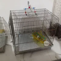 قفس پرنده قناری بلبل سهره