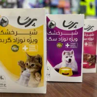 شیر خشک گربه پرسا + شیشه شیر مخصوص رویال کنین کیتن