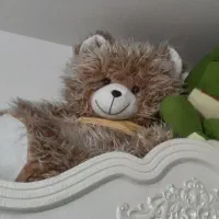 عروسک خرس بزرگ شاخسین درحدنو