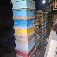 فروش طبق و کندوی مربع (طبق60عدد کندو10) عدد