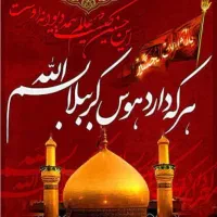 کاروان زمینی کربلا هر هفته