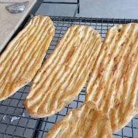 شاطر بربری
