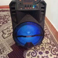 اسپیکر تک باند قوی برای مجلس