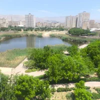 فروش-زمین-هزارمتری-ضابطه-8-فاطمی-فر