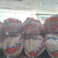 ضایعات مرغ