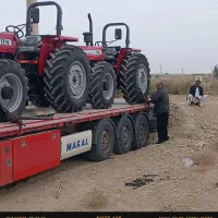 فرگوسن