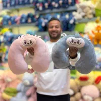 بالشت گردنی