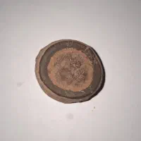 یک قطعه فسیل یا سنگ طبیعی