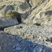 خدمات بیل بکهو