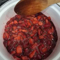 فروش|خوردنی و آشامیدنی|کرج, بنیاد|دیوار