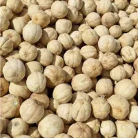 لیمو خشک خارجی