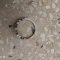 طلا9گرم