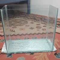 اکواریوم
