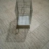 قفسه
