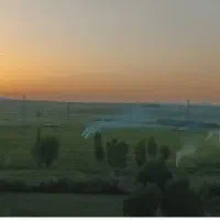زمین باغی