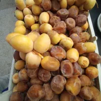 رطب برحی دست چین شده