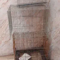 قفس جفتی پرون بزرگ.و۳تاقفس کوچیک