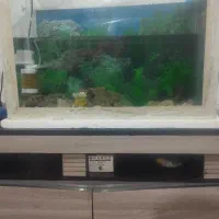 فروش یک آکواریوم بزرگ طول ۸۰عرض۴۳ سالم فروشی