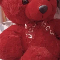 خرس عروسکی قرمز