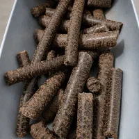کنجاله کنجد کلزا