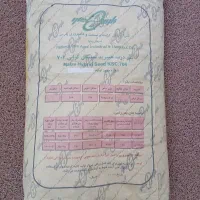 بذر ذرت ۷۰۴