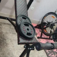 میز هالتر