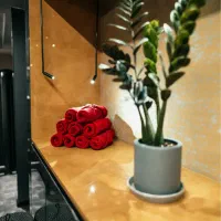 نیروی خدماتی خانم باشگاه ورزشی