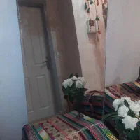 ۲ عدد آینه