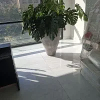 اجاره خانه منطقه ۸