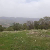 زمین ۱۵۳ متری ۳ بهر ناصراباد  ناصرآباد