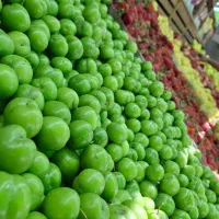 صندوقداری میوه فروشی