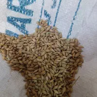 نهاده دام وطیور جو و ذرت و سویا و سبوس|لوازم جانبی حیوانات|برخوار, |دیوار